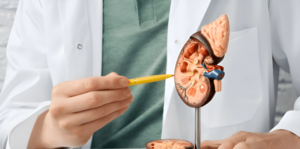 Kidney Transplant Treatment in India